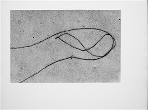 Image description is not available for 2024.064